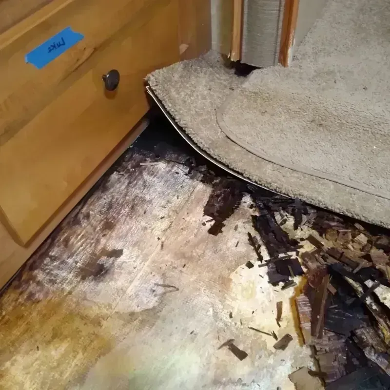 Best Wood Floor Water Damage Service in Knollwood, IL